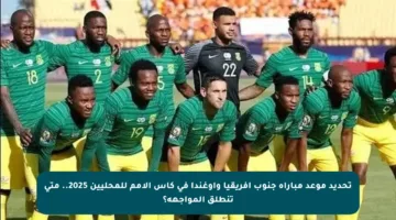 تحديد موعد مباراة جنوب أفريقيا وأوغندا في كأس الأمم للمحليين 2025.. متى تنطلق المواجهة؟